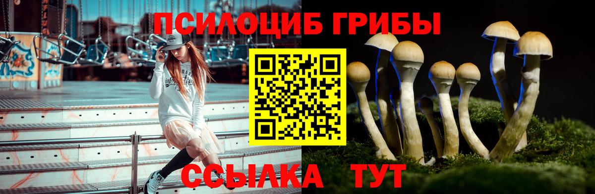 Псилоцибиновые грибы MAGIC MUSHROOMS Домодедово